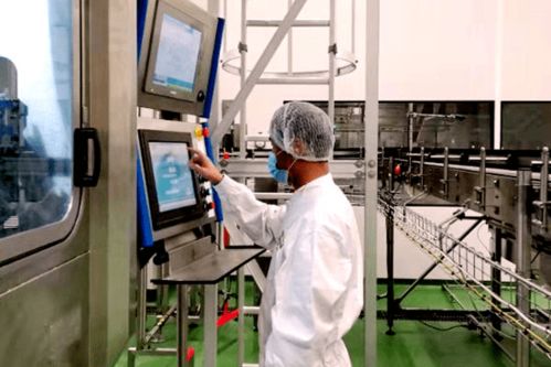 数字技术服务 镇街篇——以数据之笔，绘就基层治理新画卷，献礼建党百年