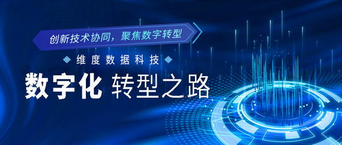 创新技术协同，聚焦数字转型 维度数据科技的数字化征程解析
